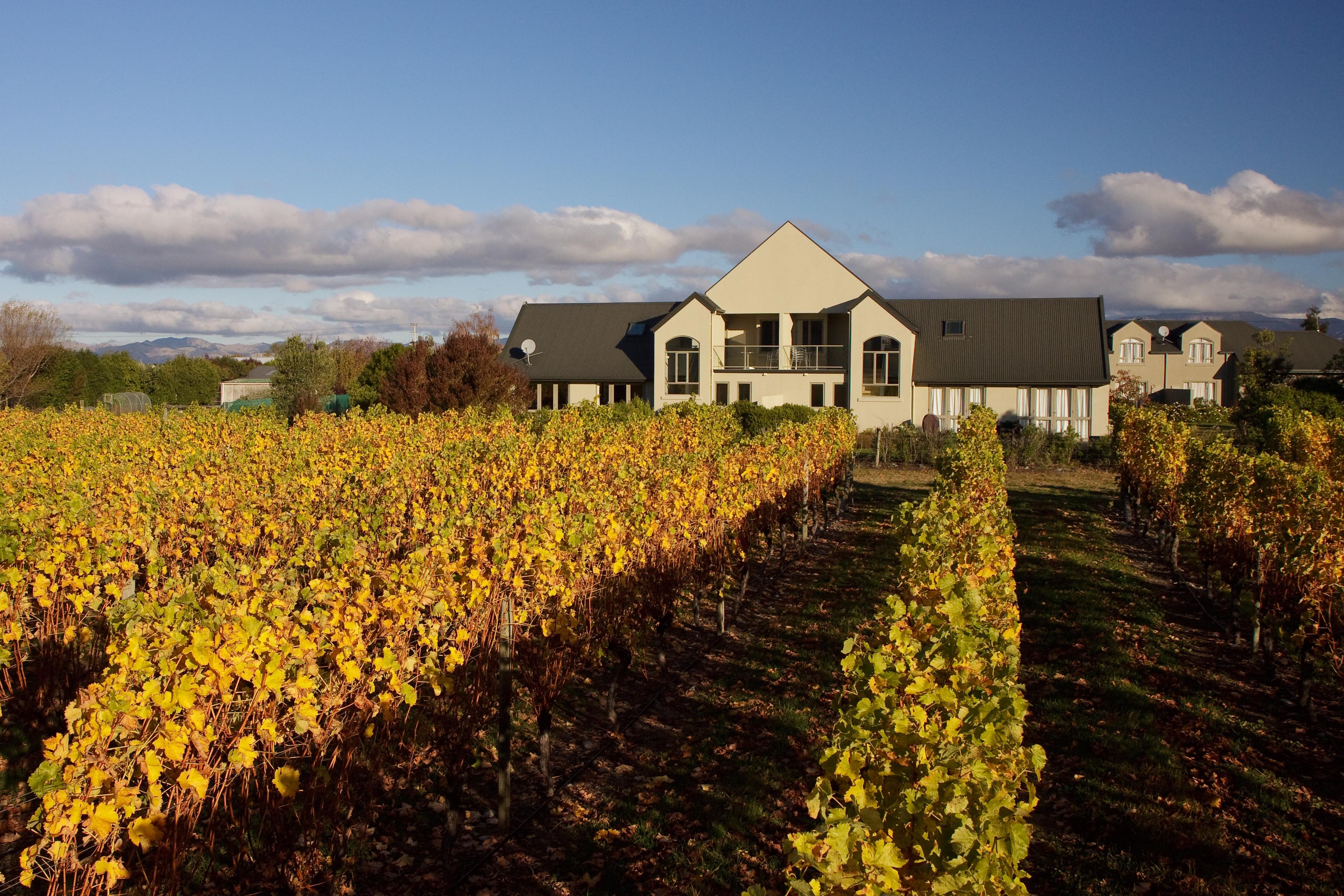 Hotel Vintners Retreat Blenheim Esterno foto
